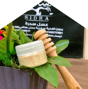 عشبة بلاك ماكا