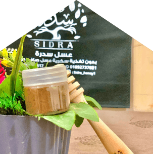 بروبليس
